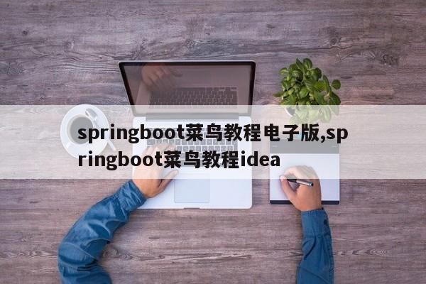 springboot菜鸟教程电子版,springboot菜鸟教程idea