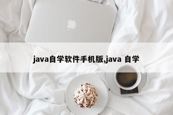 java自学软件手机版,java 自学